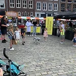 Ontdek Zuid - Limburg 度假居 辛佩尔费尔德