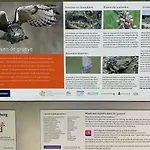 Ontdek Zuid - Limburg 度假居 *