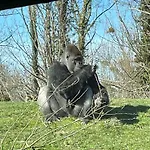 Ontdek Zuid - Limburg *