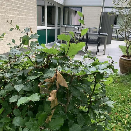 Ontdek Zuid - Limburg * Simpelveld