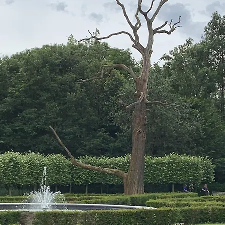 Ontdek Zuid - Limburg Hébergement de vacances Simpelveld