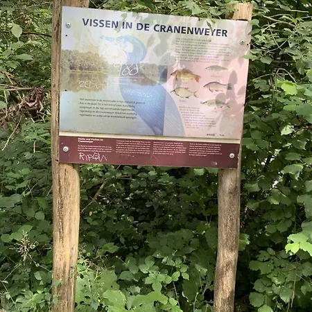 Semesterbostad Ontdek Zuid - Limburg