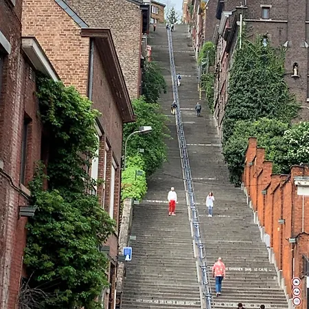 Ontdek Zuid - Limburg Feriehus *