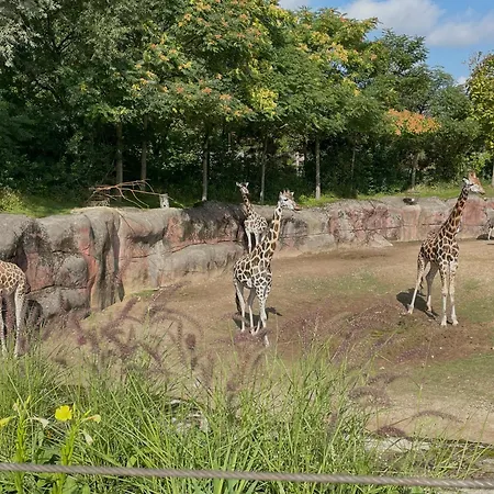 Ontdek Zuid - Limburg Симпелвелд