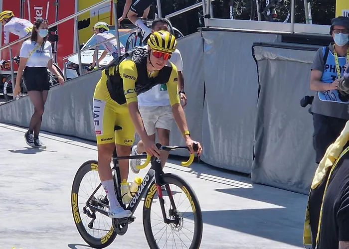 Дом отдыха Ontdek Zuid - Limburg