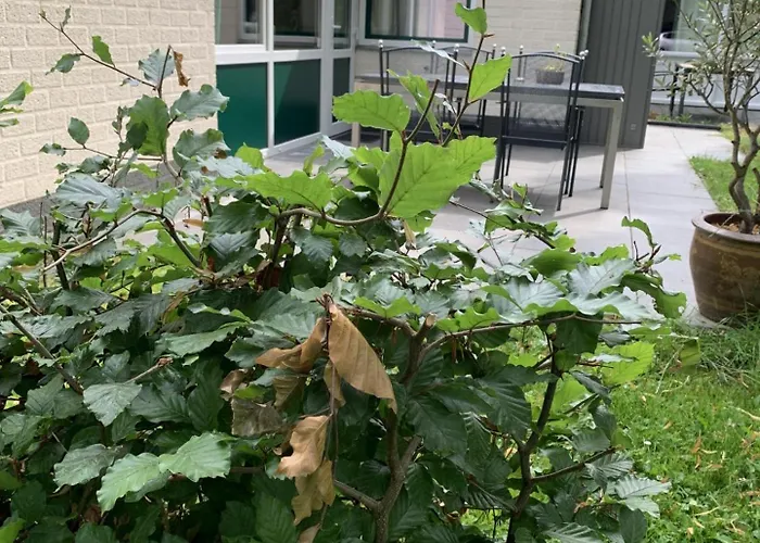 Ontdek Zuid - Limburg * Simpelveld