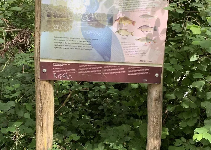 Дом отдыха Ontdek Zuid - Limburg