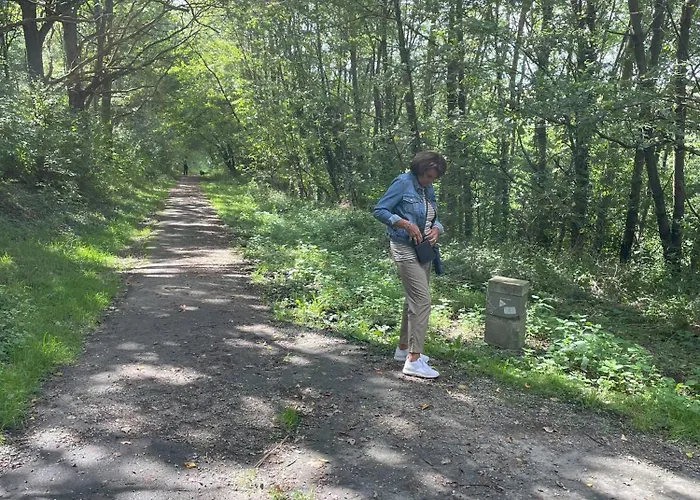 Ontdek Zuid - Limburg * Симпелвелд