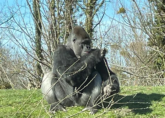 Ontdek Zuid - Limburg *