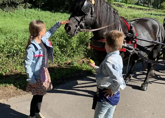 Holiday home Ontdek Zuid - Limburg
