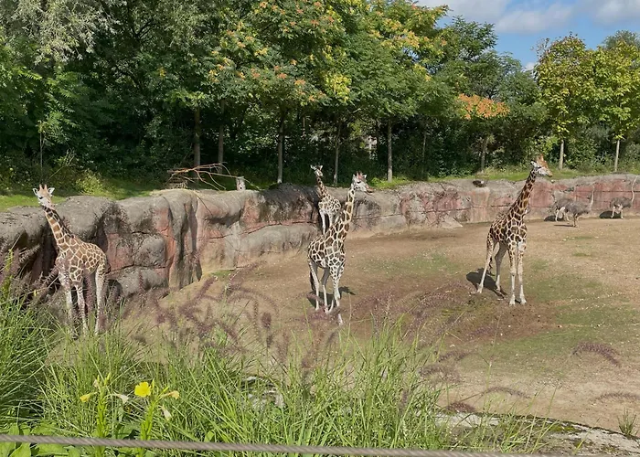 Ontdek Zuid - Limburg Симпелвелд
