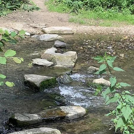 Ontdek Zuid - Limburg Dom wakacyjny Simpelveld