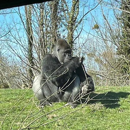 Ontdek Zuid - Limburg *